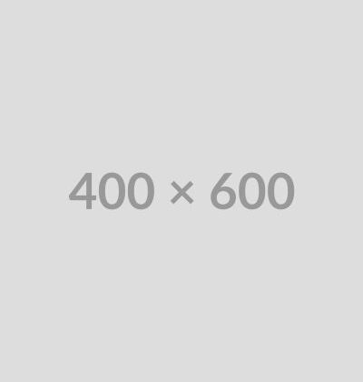 Placeholder 400 x 600