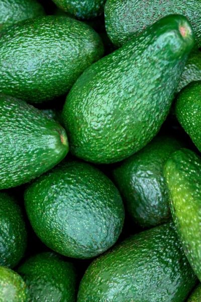 green avocados