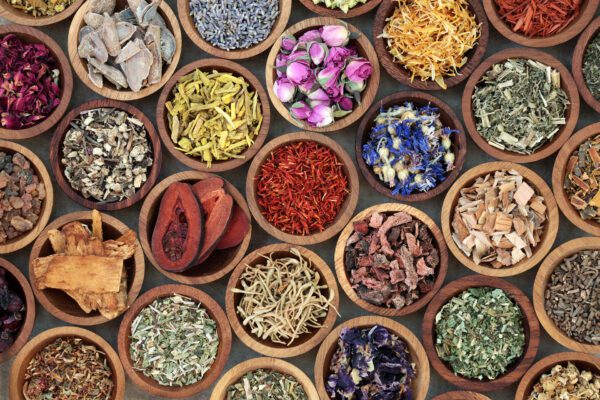 Herbal Medicine Selection