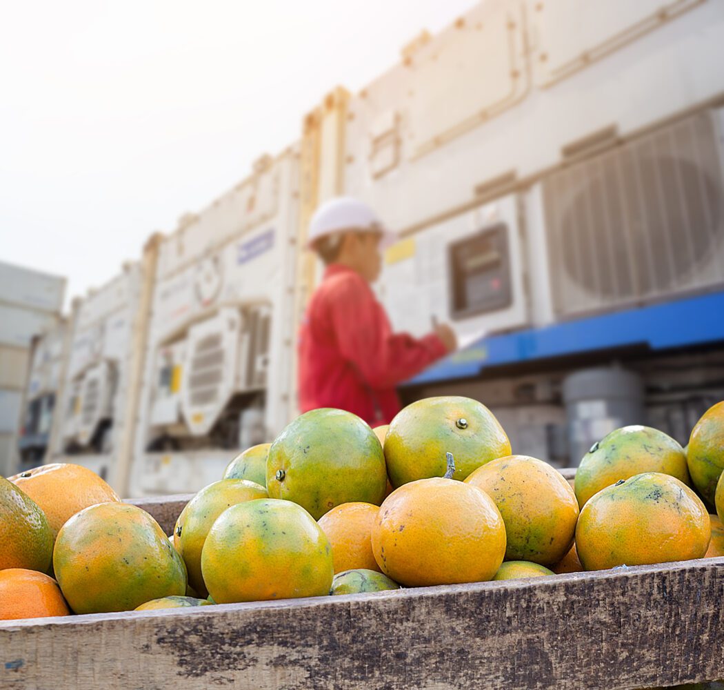 Orange Fruit and food distribution