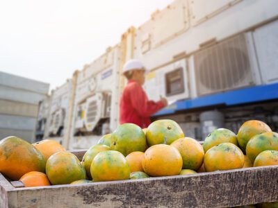 Orange Fruit and food distribution