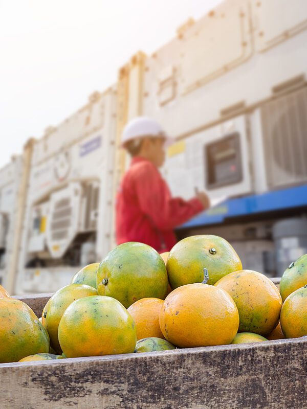 Orange Fruit and food distribution