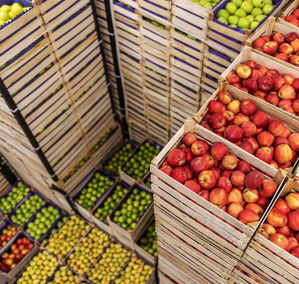 wholesale-food-distribution-software-trustwell