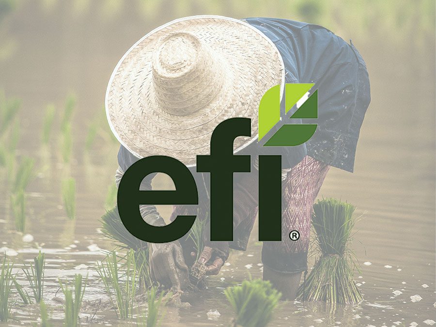 EFI logo