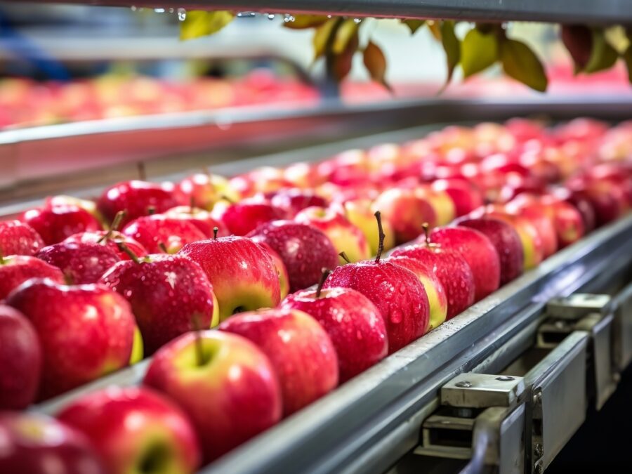 Apples on a conveyer belt. Hear Angela Fields of the FDA's CORE team at reCONNECT 2023.