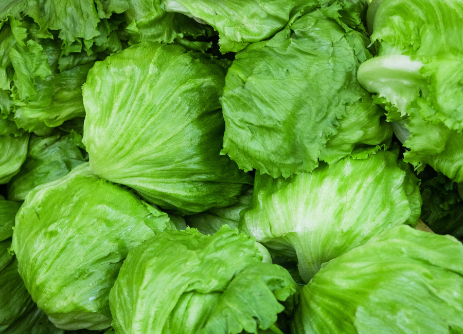 Close-up of fresh green iceberg lettuce heads piled together, showing crisp layered leaves and pale stems at a produce market.